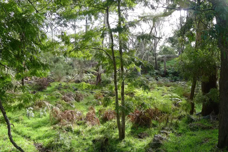 Seventh view of Homely rural property listing, 456 Scoullers Road, Carpendeit VIC 3260