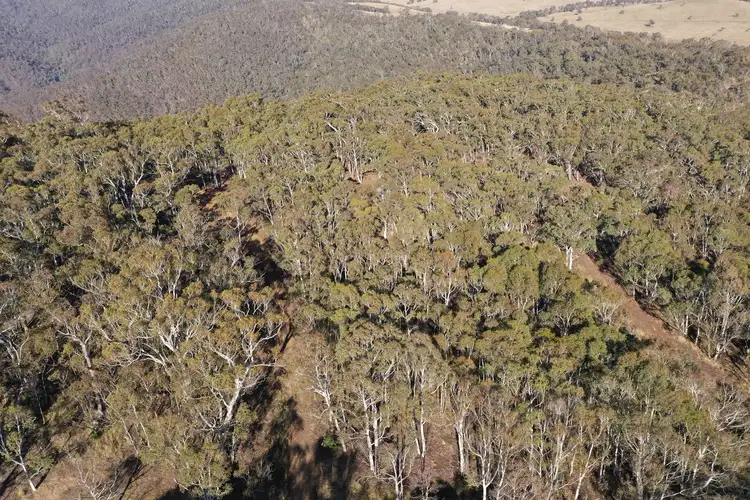 Seventh view of Homely land listing, 18 Highview Court, Omeo VIC 3898