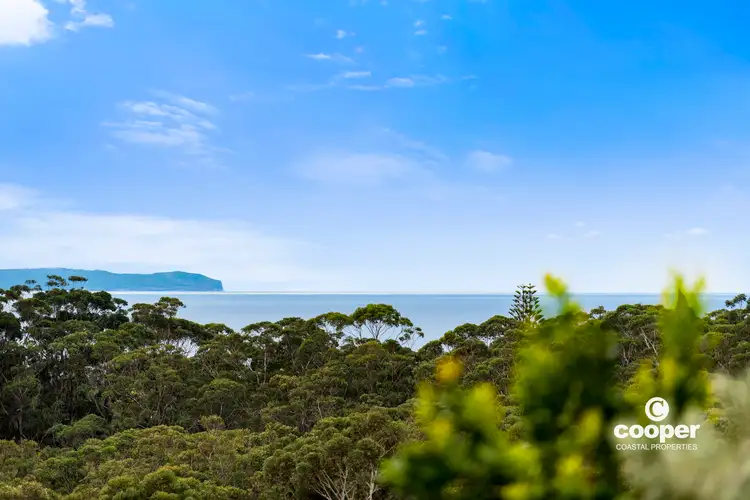 Main view of Homely house listing, 20 Seascape Close, Narrawallee NSW 2539