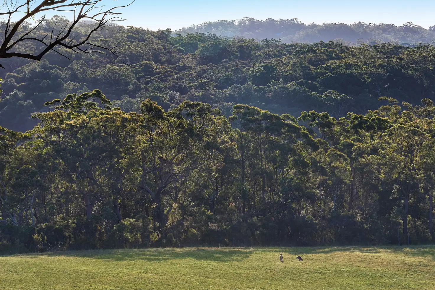 Main view of Homely land listing, Lot 1571 Hunts Road, Kulnura NSW 2250
