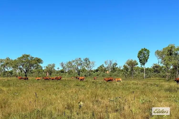 Third view of Homely rural property listing, 773 Cheeney Road, Batchelor NT 845