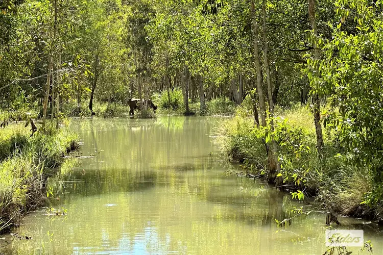 Seventh view of Homely rural property listing, 773 Cheeney Road, Batchelor NT 845