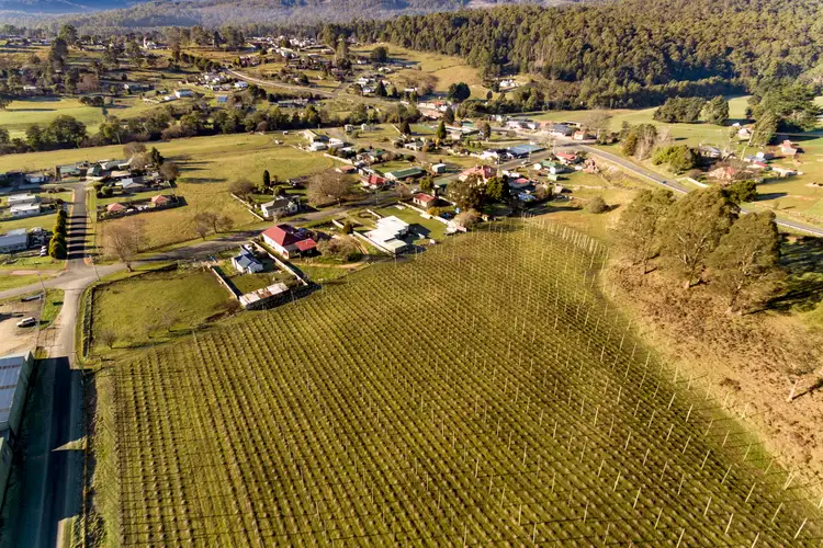 Fifth view of Homely land listing, 38 Scott Street, Branxholm TAS 7261