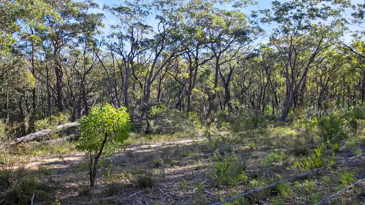 Fourth view of Homely land listing, 39 Tea Tree Crescent, Hill Top NSW 2575