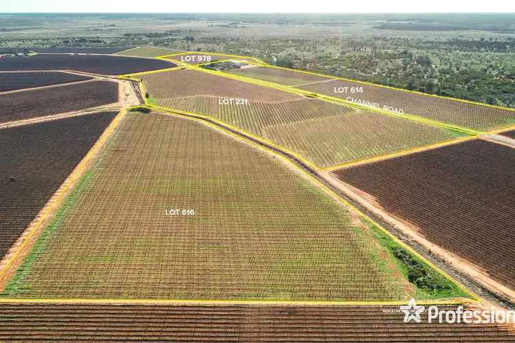 Second view of Homely rural property listing, 160 Channel Road, Coomealla NSW 2717