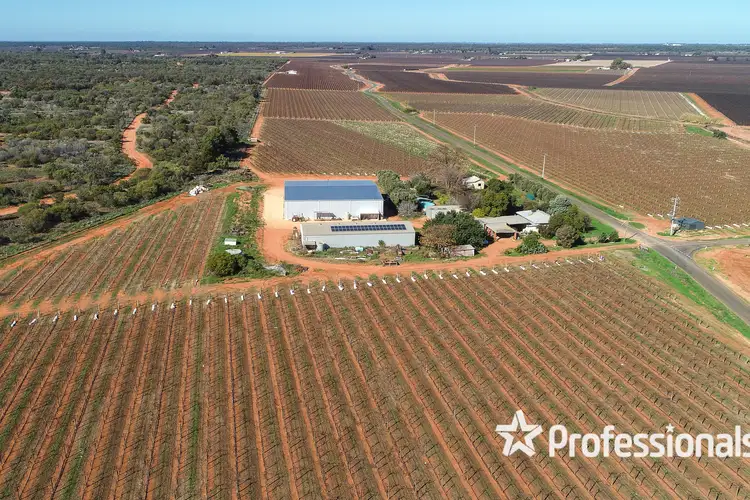 Fourth view of Homely rural property listing, 160 Channel Road, Coomealla NSW 2717