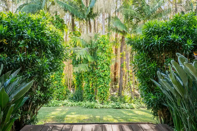 Fifth view of Homely house listing, 48 Lamberts Road, Boambee East NSW 2452