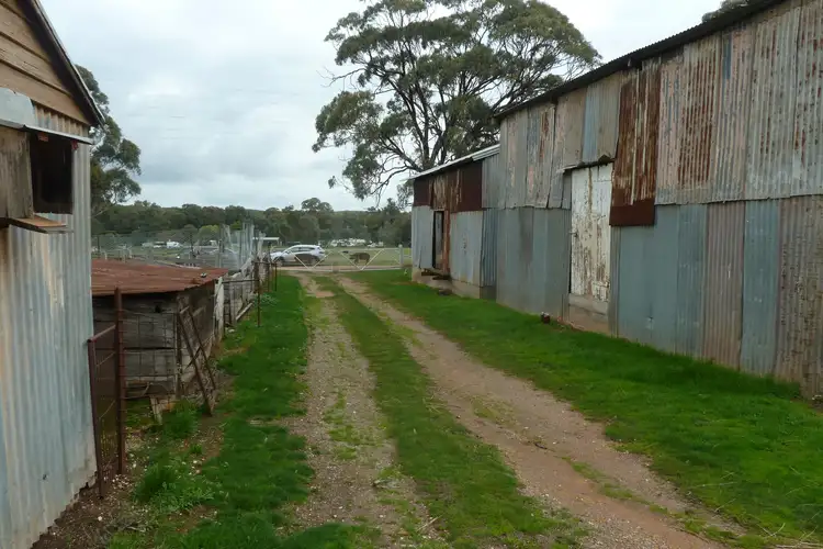 Sixth view of Homely rural property listing, Lot4C Sec5 Ophir Road, Wedderburn VIC 3518