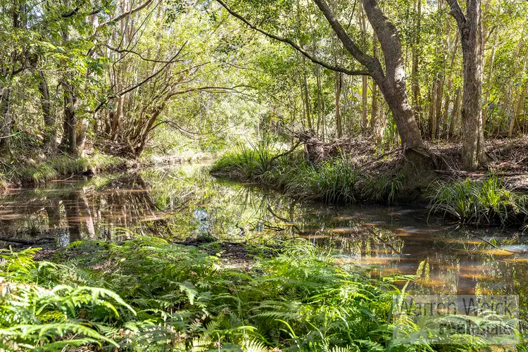 Third view of Homely rural property listing, 615 Valery Road, Bellingen NSW 2454