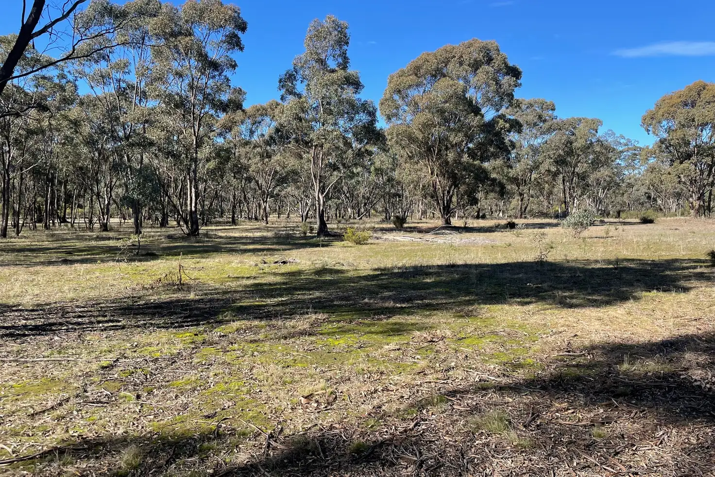 Main view of Homely rural property listing, Archdale Road, Stuart Mill VIC 3477