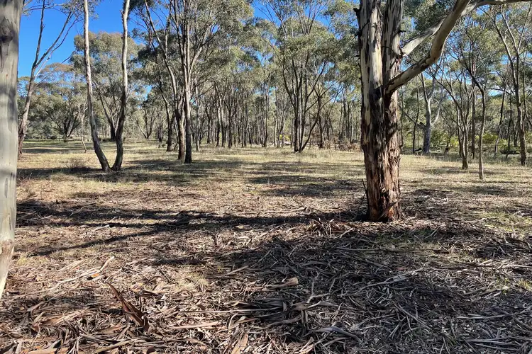 Second view of Homely rural property listing, Archdale Road, Stuart Mill VIC 3477