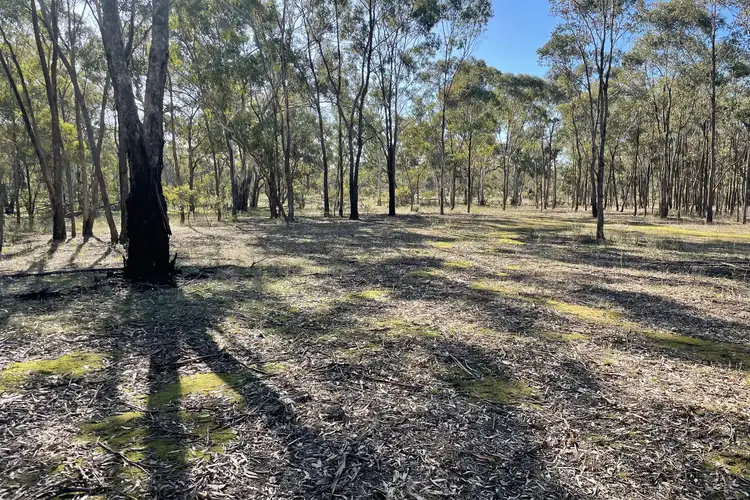 Fifth view of Homely rural property listing, Archdale Road, Stuart Mill VIC 3477