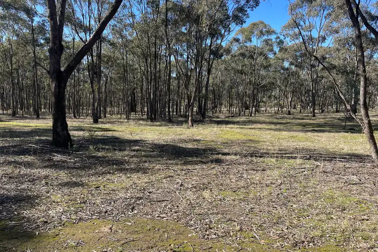 Sixth view of Homely rural property listing, Archdale Road, Stuart Mill VIC 3477