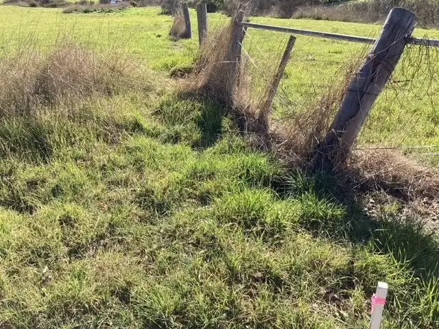 Seventh view of Homely rural property listing, 3530 (Lot Ballarat-Maryborough Road, Clunes VIC 3370