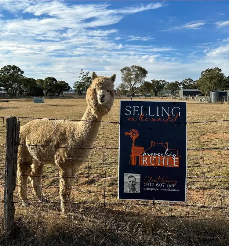 Second view of Homely land listing, 202+206 Goomburra Street, Hendon QLD 4362