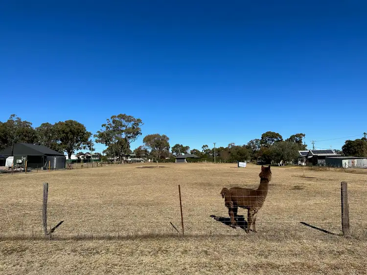 Sixth view of Homely land listing, 202+206 Goomburra Street, Hendon QLD 4362