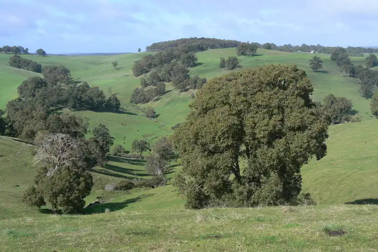 Fourth view of Homely rural property listing, 391 Valentine Road, Upper Capel WA 6239