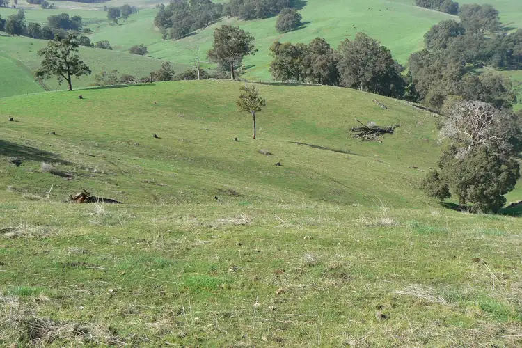 Sixth view of Homely rural property listing, 391 Valentine Road, Upper Capel WA 6239