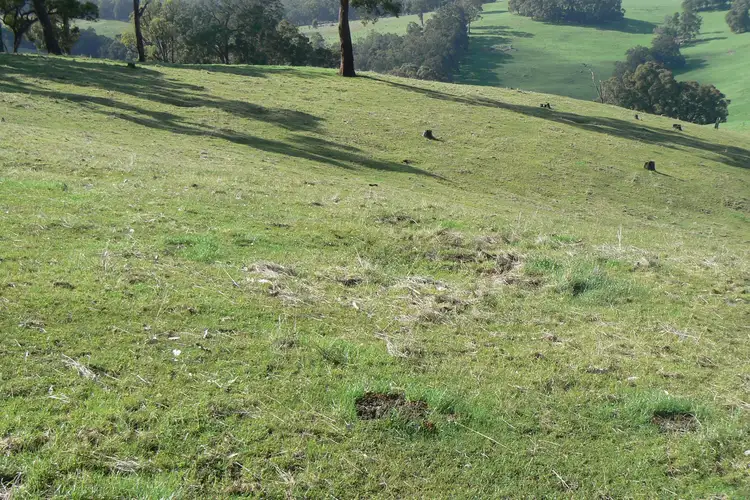 Seventh view of Homely rural property listing, 391 Valentine Road, Upper Capel WA 6239