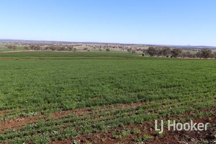 310 Burts Lane, Inverell NSW 2360