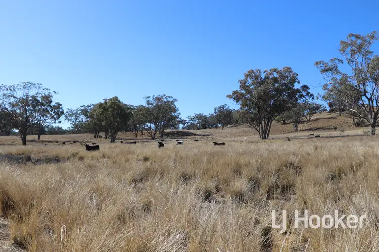 Second view of Homely rural property listing, 310 Burts Lane, Inverell NSW 2360
