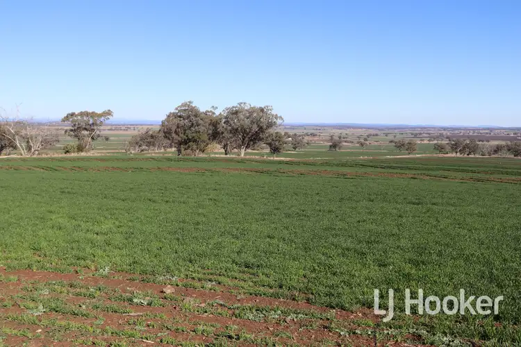 Third view of Homely rural property listing, 310 Burts Lane, Inverell NSW 2360