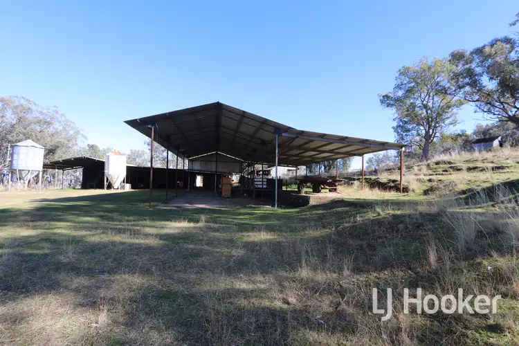 Fifth view of Homely rural property listing, 310 Burts Lane, Inverell NSW 2360