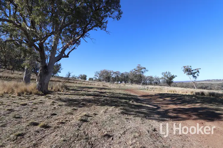 Sixth view of Homely rural property listing, 310 Burts Lane, Inverell NSW 2360