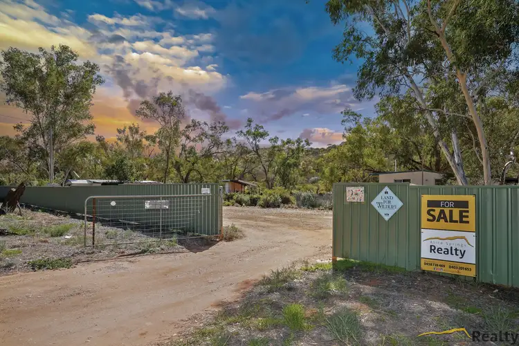 Main view of Homely rural property listing, 297 Ross Highway, Ross NT 873