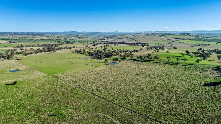 802 Pine Mount Road, Woodstock NSW 2793