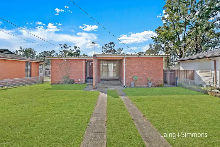 Main view of Homely house listing, 13 Roebuck Crescent, Willmot NSW 2770