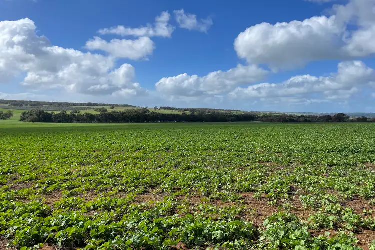 Main view of Homely rural property listing, LOT 27 Badgingarra Road, Dandaragan WA 6507