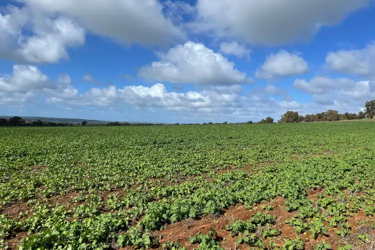 Second view of Homely rural property listing, LOT 27 Badgingarra Road, Dandaragan WA 6507