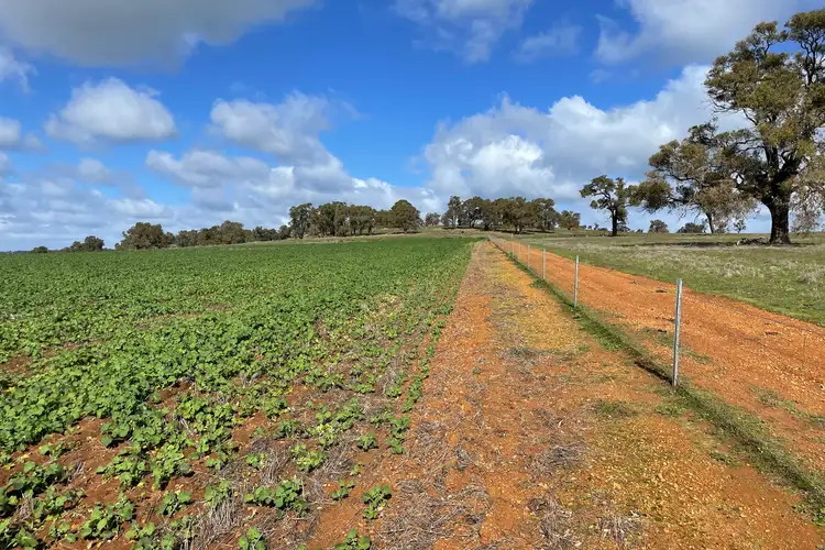 Third view of Homely rural property listing, LOT 27 Badgingarra Road, Dandaragan WA 6507
