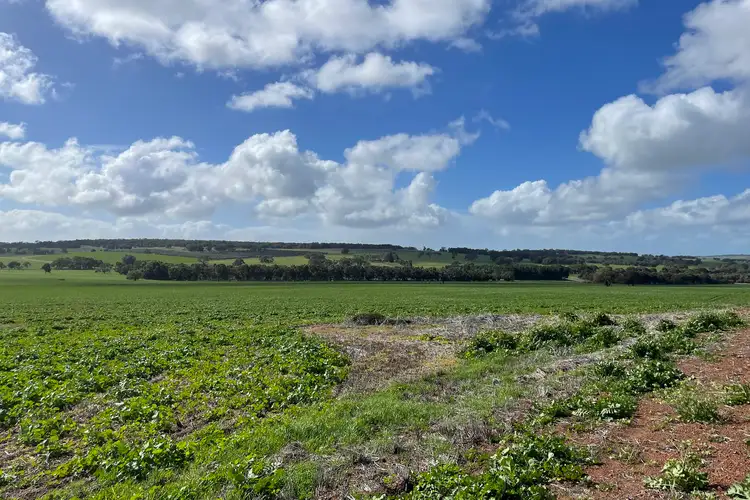 Fourth view of Homely rural property listing, LOT 27 Badgingarra Road, Dandaragan WA 6507