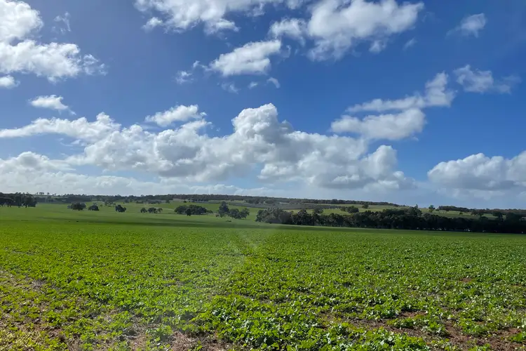 Fifth view of Homely rural property listing, LOT 27 Badgingarra Road, Dandaragan WA 6507