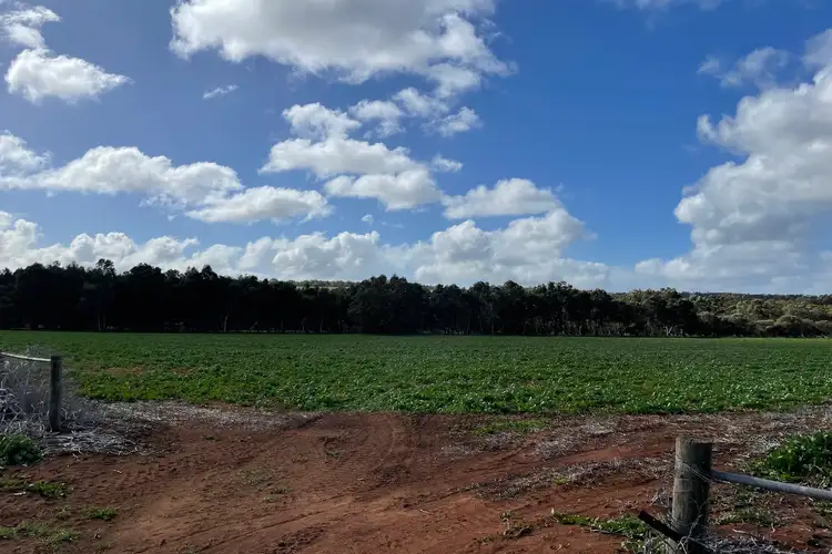 Sixth view of Homely rural property listing, LOT 27 Badgingarra Road, Dandaragan WA 6507