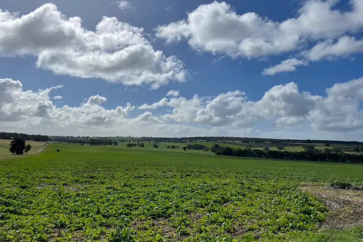 Seventh view of Homely rural property listing, LOT 27 Badgingarra Road, Dandaragan WA 6507