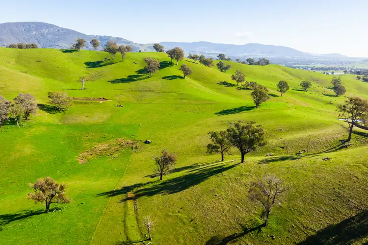 Third view of Homely rural property listing, Kiewa East Road, Tangambalanga VIC 3691