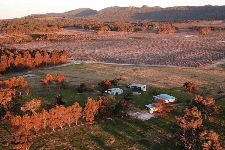 Sixth view of Homely rural property listing, 1691 Porongurup Road, Porongurup WA 6324
