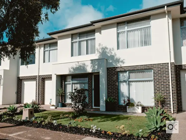62 Thirza Avenue, Clovelly Park SA 5042