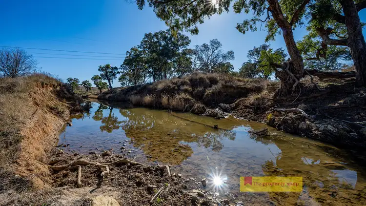Fourth view of Homely rural property listing, 431 Gorries Lane, Gulgong NSW 2852