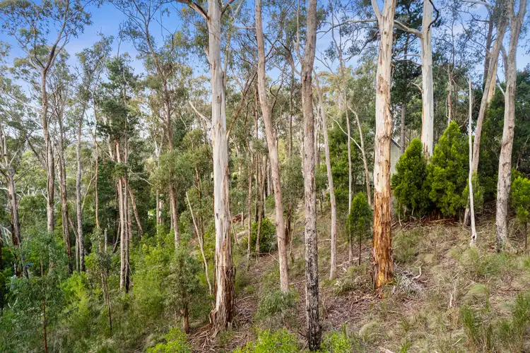 Fifth view of Homely land listing, Lot 81, Bates Road, Blackwood VIC 3458