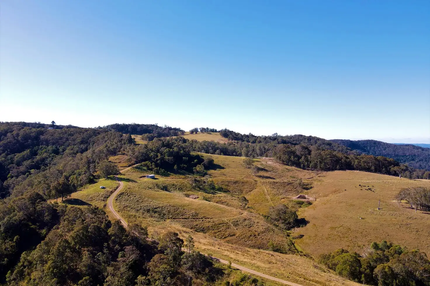 Main view of Homely rural property listing, 316 Parishs Road, Dungog NSW 2420