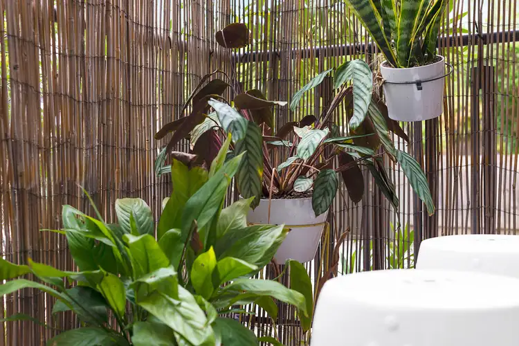 Fifth view of Homely apartment listing, 2/26 Wynnstay Road, Prahran VIC 3181