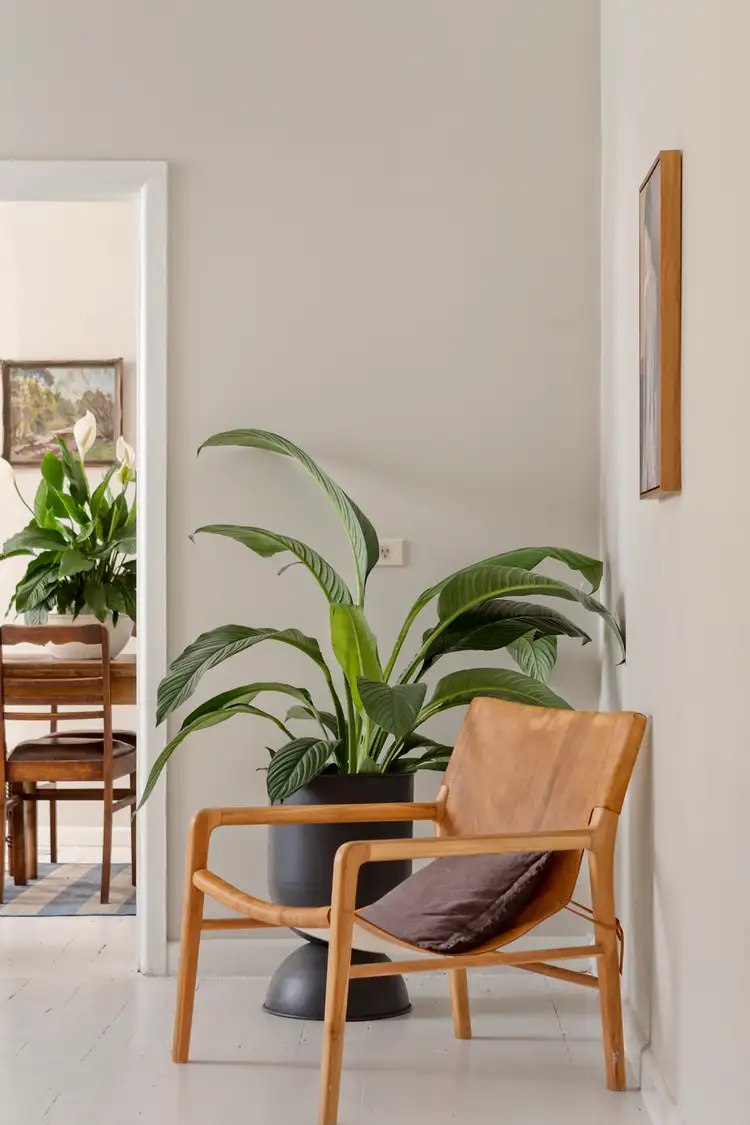 Sixth view of Homely house listing, 3 Packington Street, Prahran VIC 3181