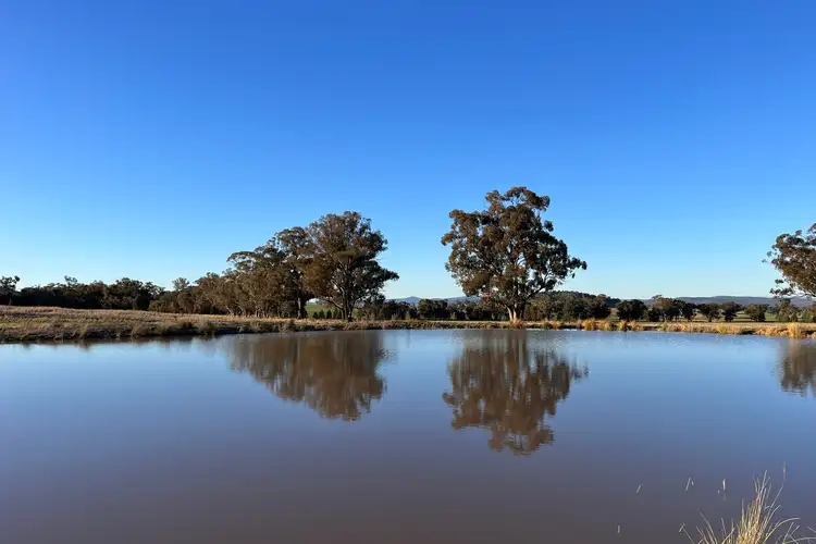 Third view of Homely rural property listing, Loch Lomond Road, Gooloogong NSW 2805