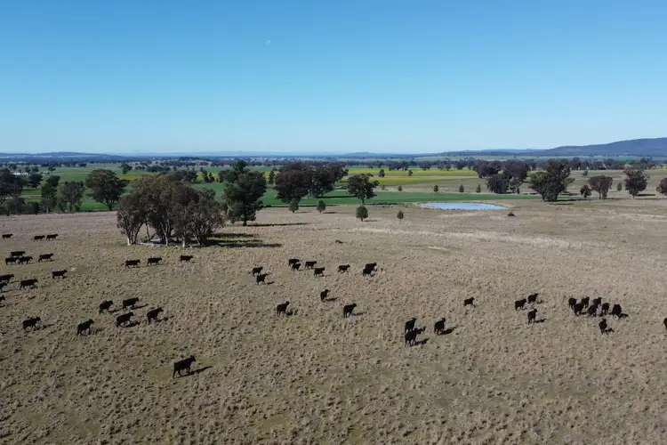 Fourth view of Homely rural property listing, Loch Lomond Road, Gooloogong NSW 2805