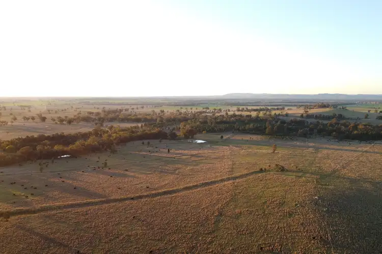 Seventh view of Homely rural property listing, Loch Lomond Road, Gooloogong NSW 2805