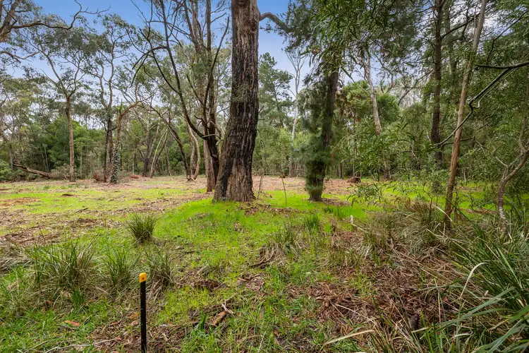 Second view of Homely rural property listing, LOT 4, 5 Mahers Road, Barwon Downs VIC 3243